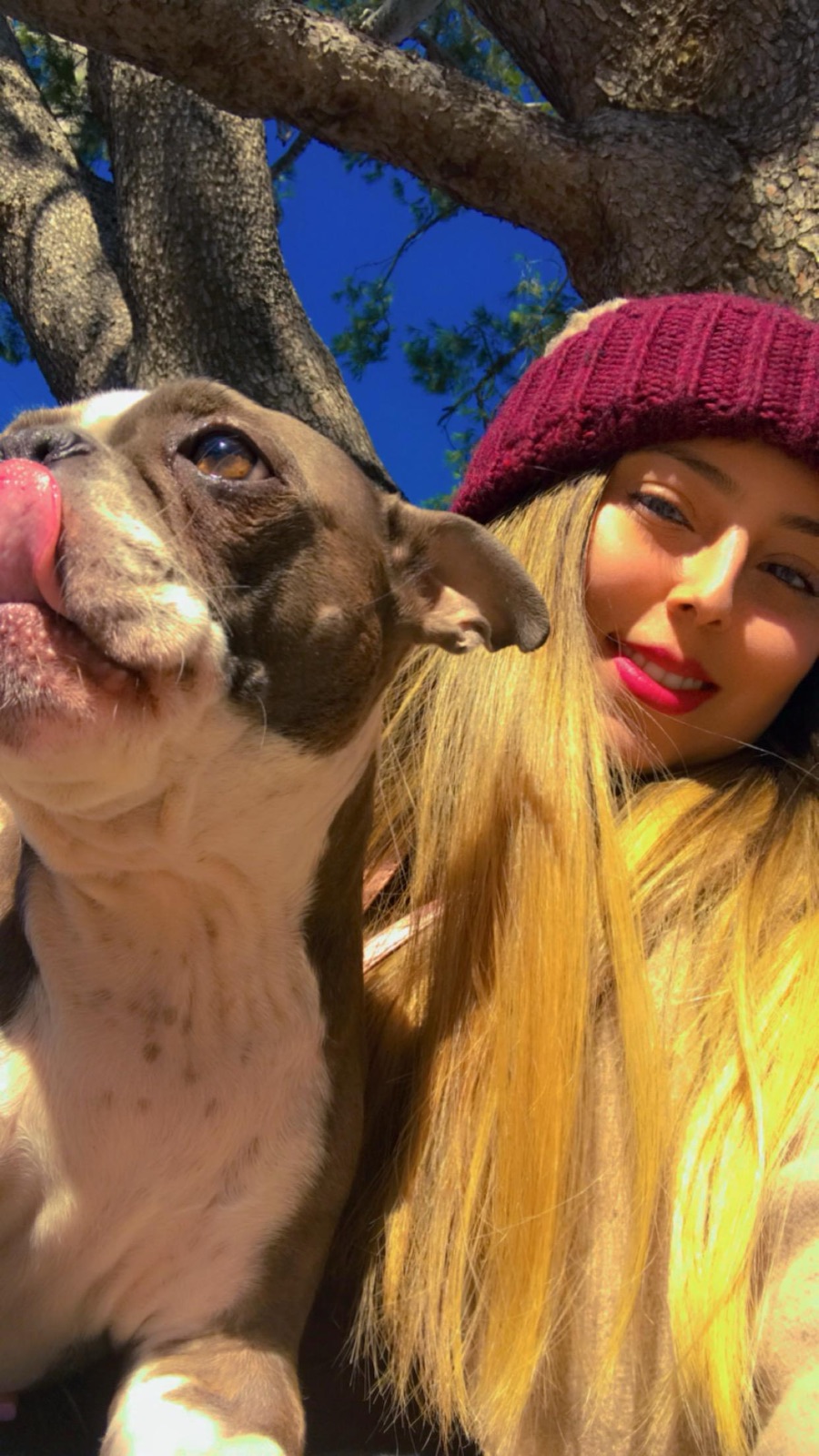 Helen hugging a bulldog outdoors